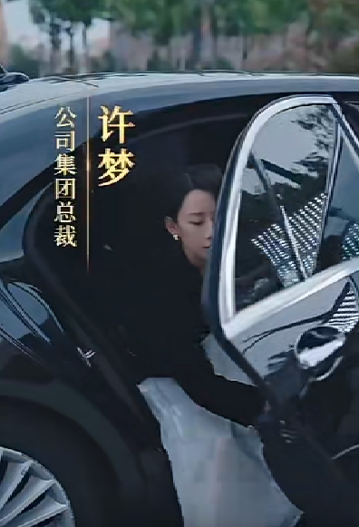 女老板的復仇