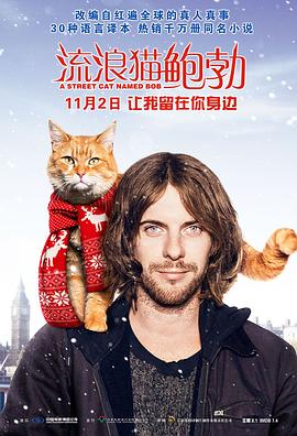 流浪貓鮑勃 A Street Cat Named Bob[電影解說]