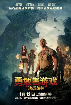 勇敢者游戲：決戰(zhàn)叢林[電影解說]