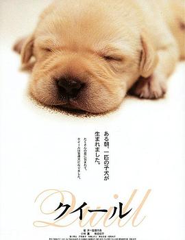 導(dǎo)盲犬小Q クイール[電影解說]