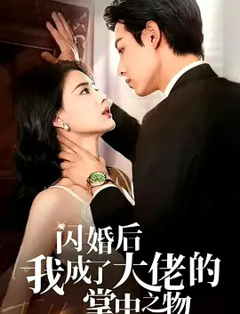 閃婚后我成了大佬的掌中之物