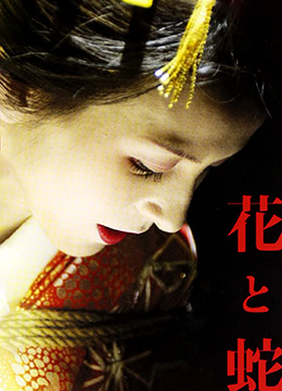 畫像